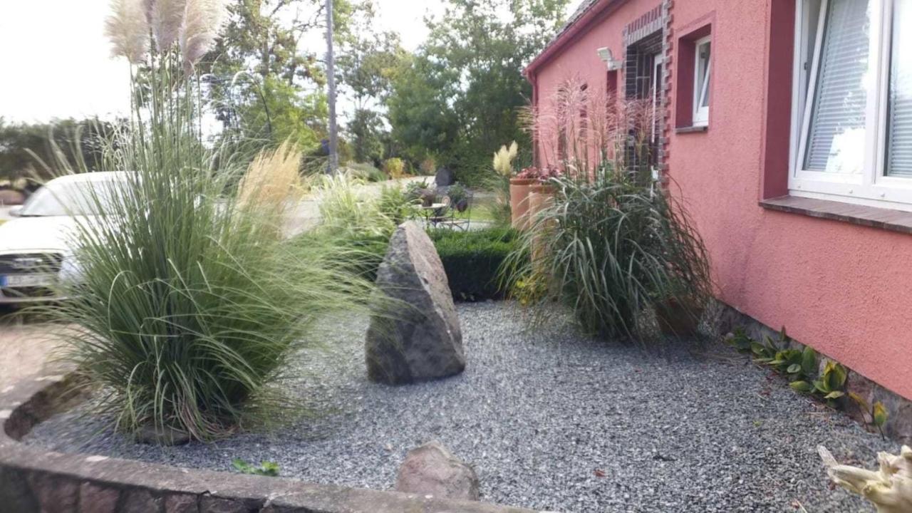 Haus Am Teich - Teichblick Apartment