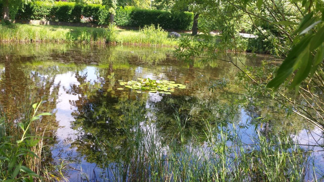 Apartment Haus Am Teich - Teichblick